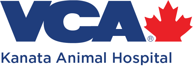 Kanata Animal Hospital